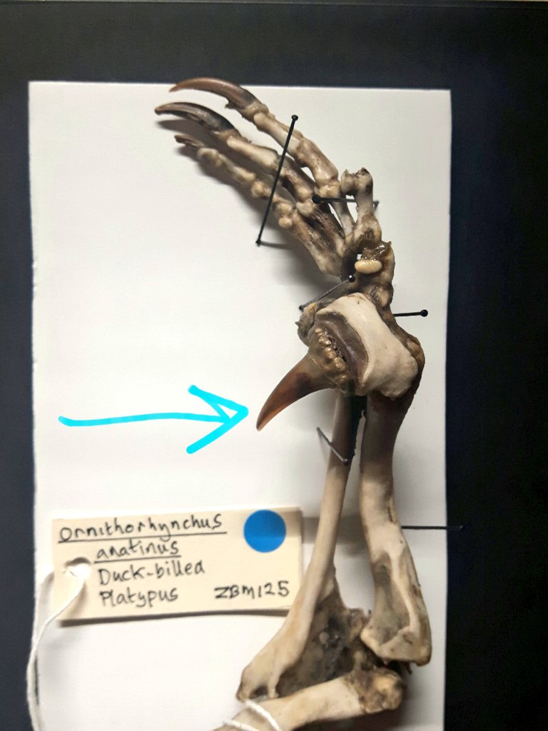 Jack Ashby tweet media