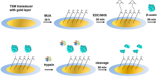 Biosensors_MDPI's tweet photo. Article by Ivan Piovarci et al. | Detection of Sub-Nanomolar Concentration of Trypsin by Thickness-Shear Mode Acoustic Biosensor and Spectrophotometry
https://t.co/kHSEHFz6V7
@MDPIOpenAccess
@ComeniusUni
@UofT
#trypsin #βcasein #AuNPs #acousticwavebiosensor
#openaccess https://t.co/YPhY12oRJQ