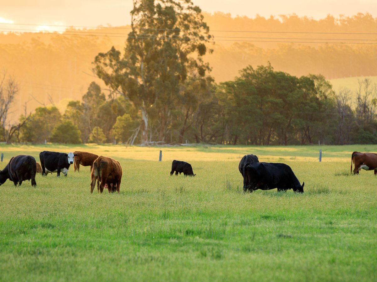 Easter events for families, Autumn farm stays, school holiday programs and workshops, where to meet the Easter Bunny, live performances &amp; more - mailchi.mp/brisbanekids/e…