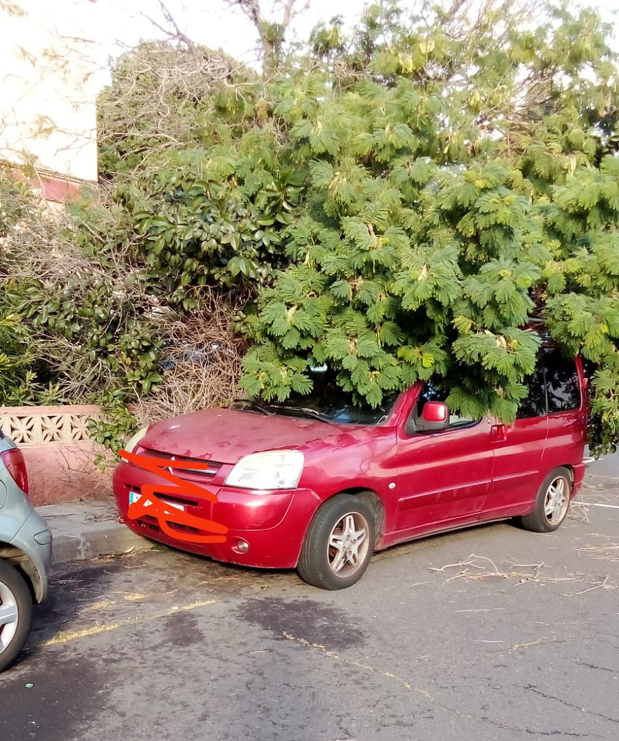 b_egopr's tweet photo. Esto es lo que pasa @aytolalaguna_es por no ayudar a mantener los jardines de la urbanización La Florida en la cuesta, así amaneció mi coche hoy,cansada de tomaduras de pelo y mentiras😡😡 https://t.co/Gk3XQAwZ4V