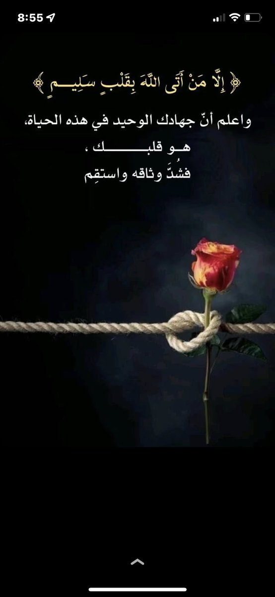 Noha_Alshunifi's tweet photo. https://t.co/hkQfZj5VkF