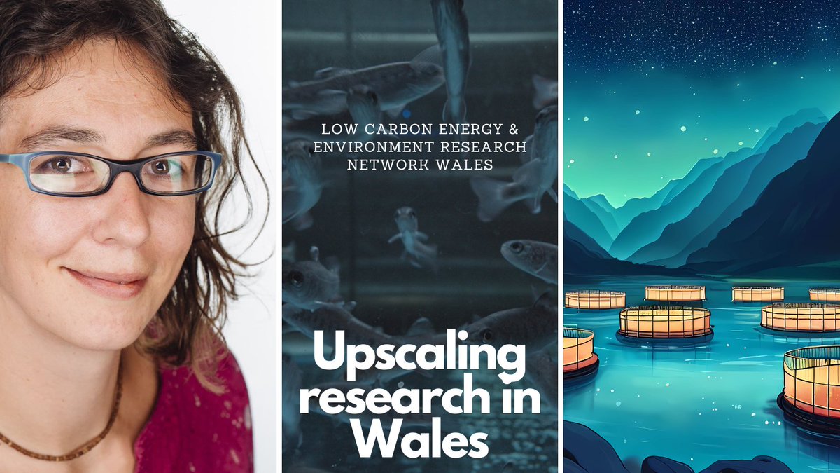 Low Carbon Energy & Environment Research Network (@lceernw) on Twitter photo Dyma hanes ymchwil  Dr <a href="/AmyEllison_UK/">Amy Ellison</a> i wella ffermydd pysgod. Anodd coelio bod y ffordd y maent yn cael eu magu yn effeithio ar eu genynnau🧬
Sut wnaeth gyrfa ymwchwil Amy elwa o gronfa cychwynol yr rhwydwaith ymchwil?
lceernw.ac.uk/2023/03/16/fro… Dyma hanes ymchwil  Dr <a href="/AmyEllison_UK/">Amy Ellison</a> i wella ffermydd pysgod. Anodd coelio bod y ffordd y maent yn cael eu magu yn effeithio ar eu genynnau🧬
Sut wnaeth gyrfa ymwchwil Amy elwa o gronfa cychwynol yr rhwydwaith ymchwil?
lceernw.ac.uk/2023/03/16/fro…