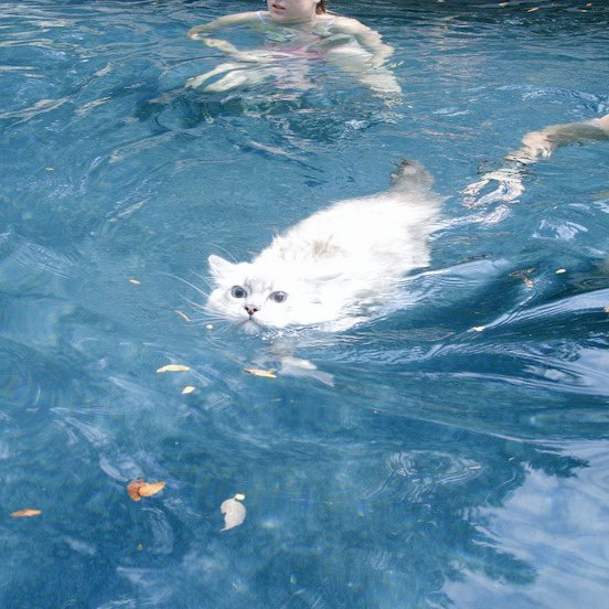 kylie ۶ৎ tweet media