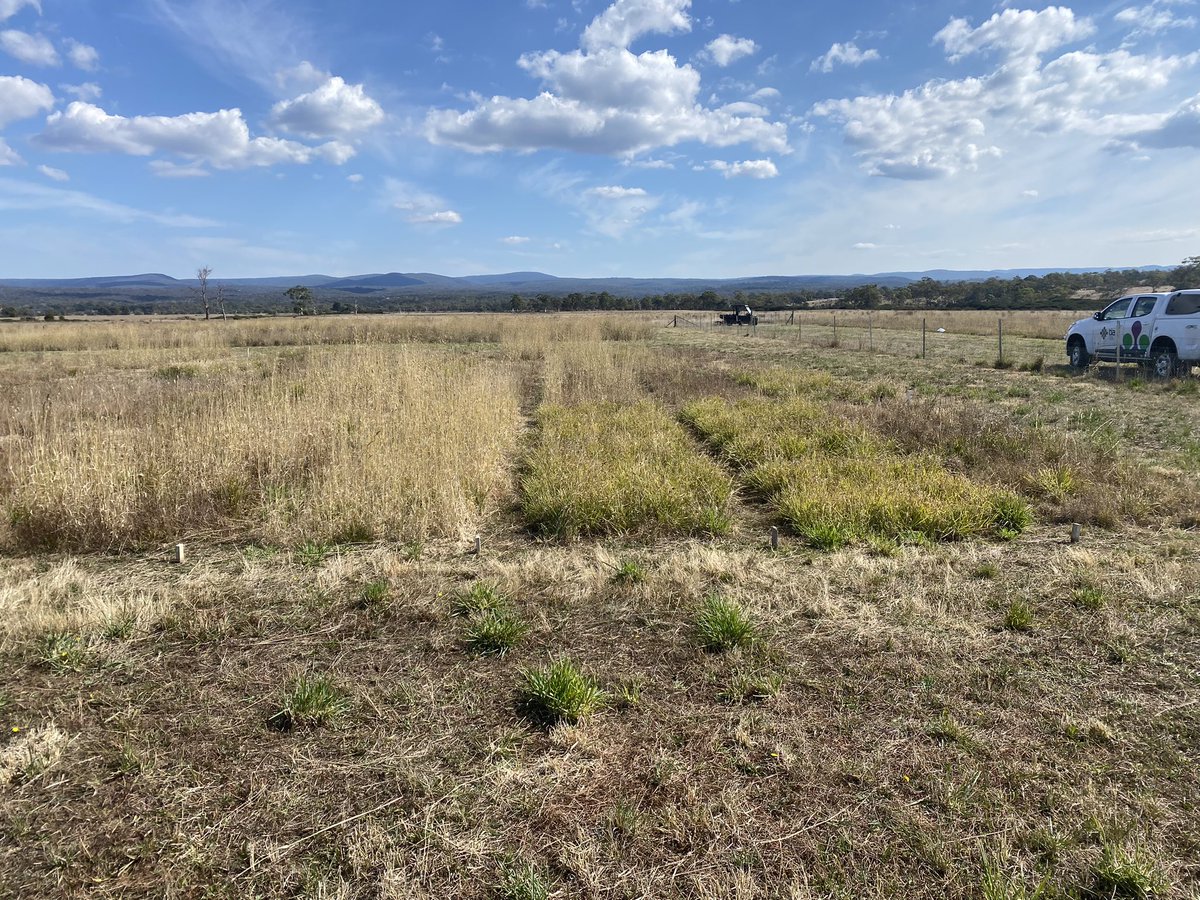 Rowan Smith tweet media