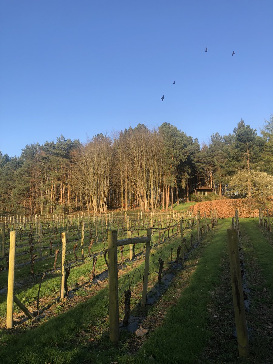 AAHospitality's tweet photo. A vast estate with a beautiful hotel, state of the art Spa and championship golf courses in the heart of the Cheshire countryside @cardenpark @VisitCheshire #RatedTrips
https://t.co/8oqOn5eoQE https://t.co/B2i3TTzESt