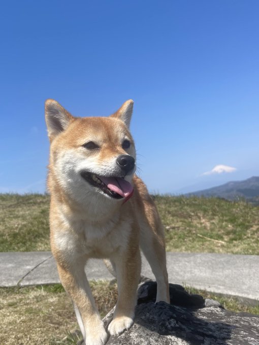 石上ひなののTwitter画像7