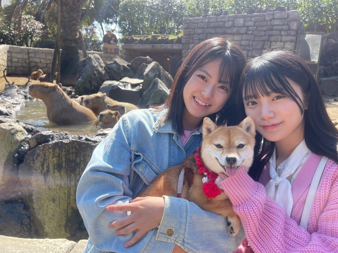 石上ひなののTwitter画像8