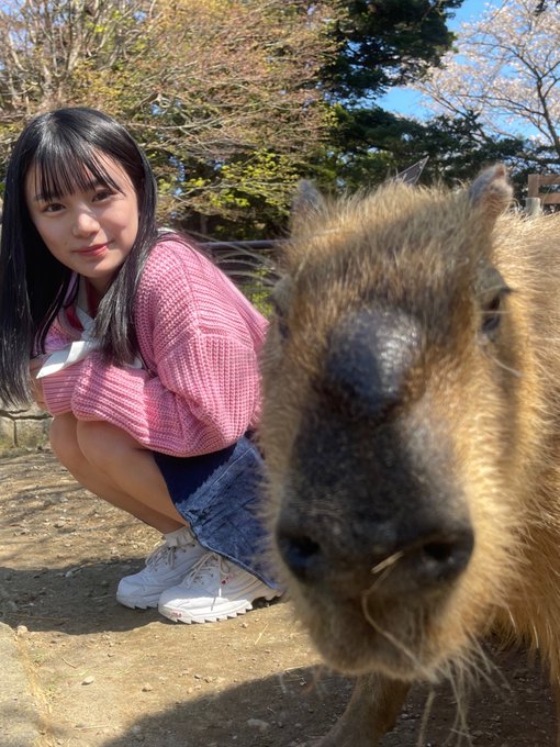 石上ひなののTwitter画像9