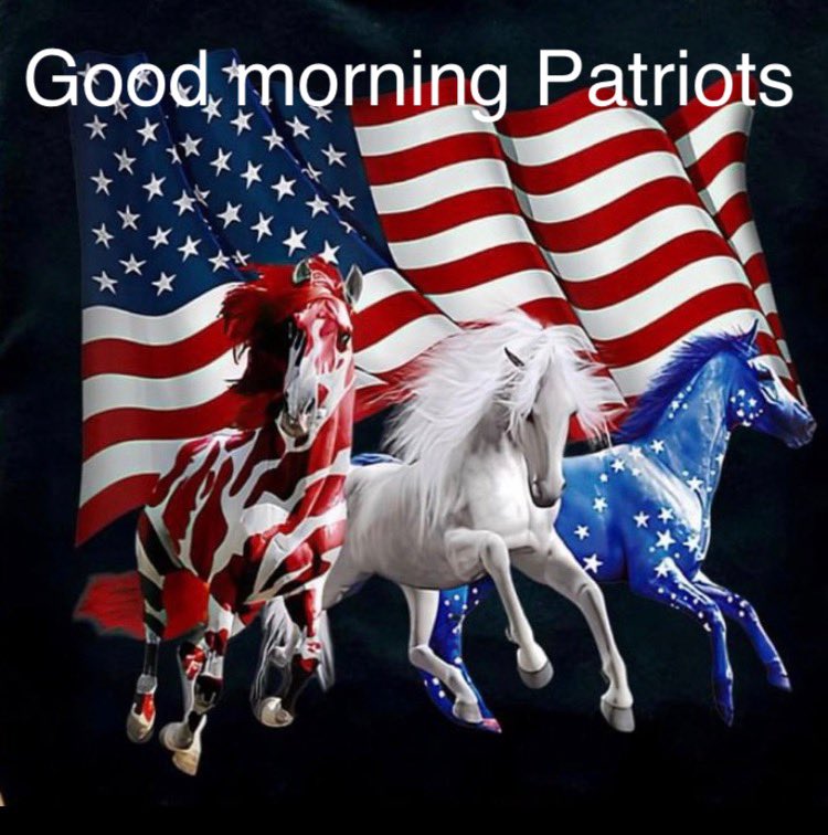 RealNightVoices's tweet photo. GOOD MORNING PATRIOTS!!!
Charge into Tuesday like you own this bitch...YOU DO!!!

AND FUCK YOU joe biden you worthless fucking empty headed suit https://t.co/vutKgd5AxK