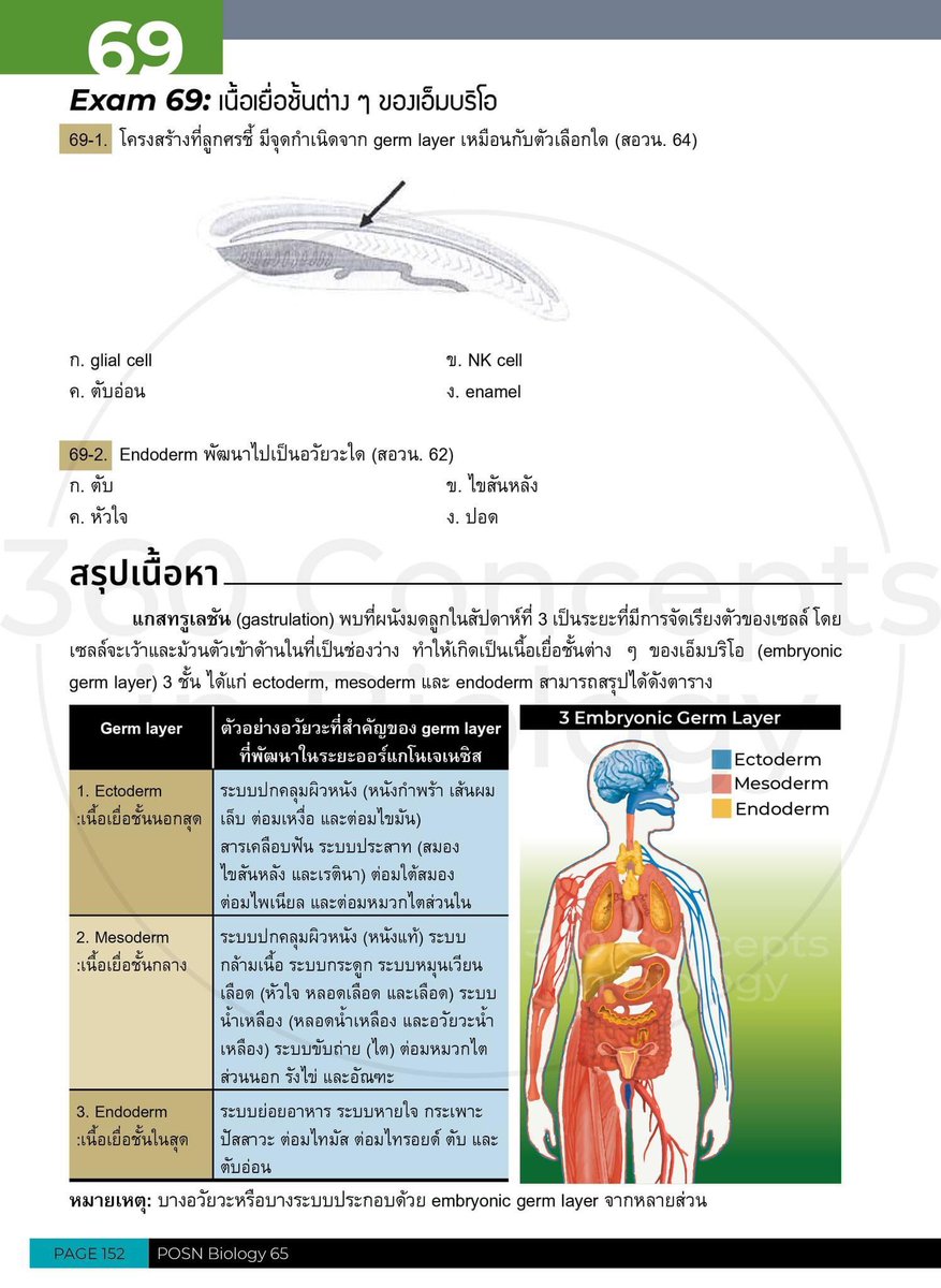 พรี่หมอ 🦊 tweet media
