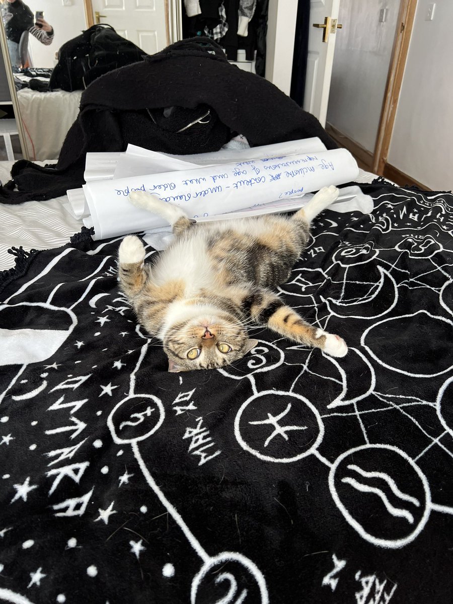 𝕸𝖎𝖘𝖙𝖞 𝕲𝖆𝖑𝖆𝖈𝖙𝖎𝖈 tweet media