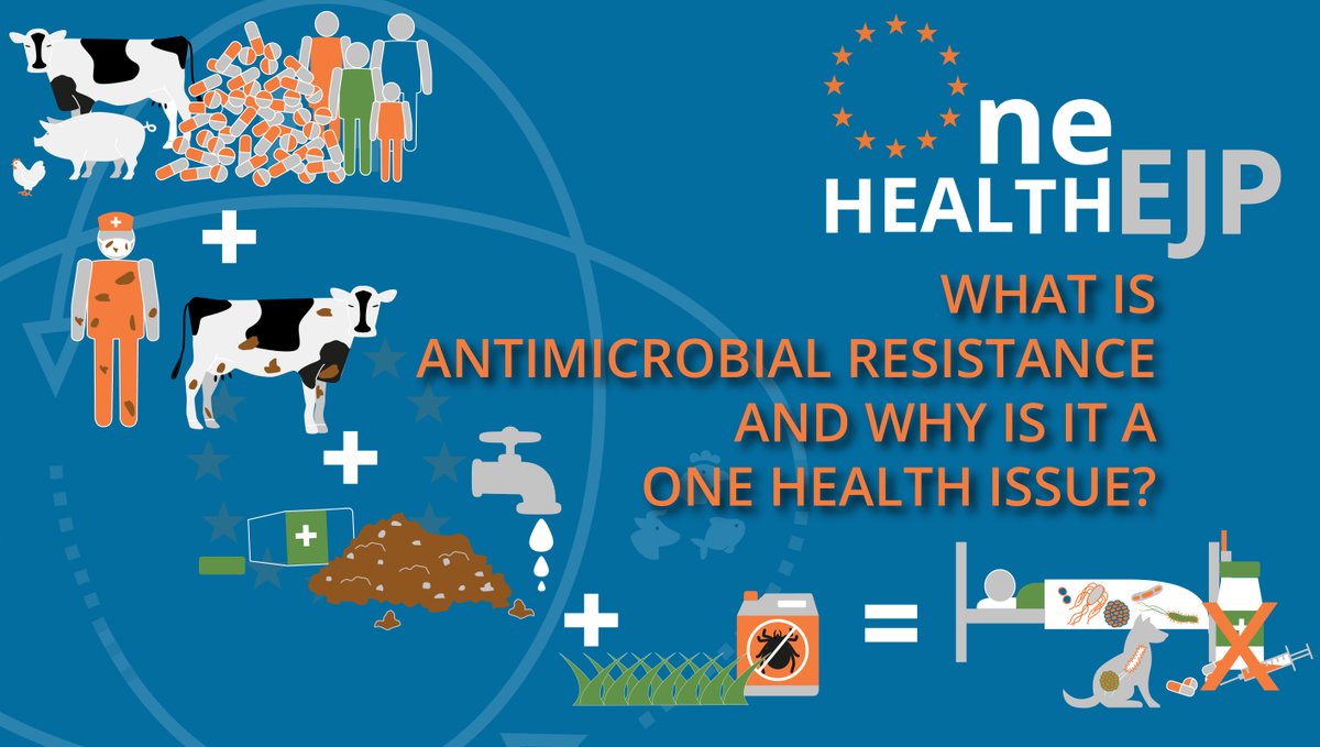 OneHealthEJP's tweet photo. What is #antimicrobialresistance? It occurs when #microorganisms resist a substance that kills them or stops their growth. #AMR transmission can occur between people &amp; animals or through the #environment &amp; food to threaten #health. Read #IMPART brochure: ​https://t.co/Dp8BDJsxGQ https://t.co/XmYFpBAFgx