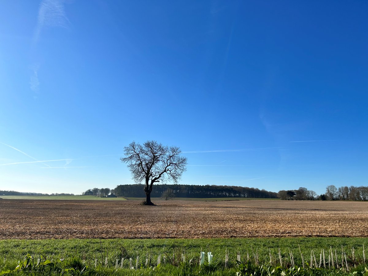 RAFTsolutions's tweet image. We were made for sunny days ☀️
The sun is well and truly shining at our RAFT offices this morning!
Could the view from our office window get any better 🤩

#springtime #welovethesun #fieldsofgold #officelocationperfection