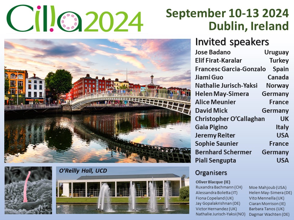 Oliver Blacque tweet media