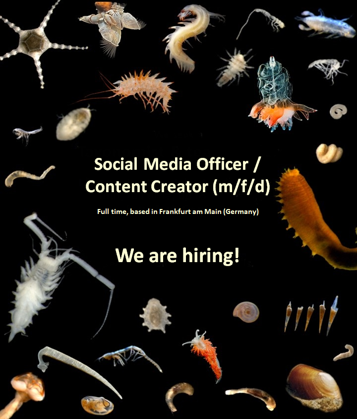 SOSA´s Engagement Unit is growing.

Do you love marine species as much as we do and want to share your fascination with the world? Then become a part of a new movement promoting #biodiversity #conservation!

sosa.senckenberg.de/en/jobs