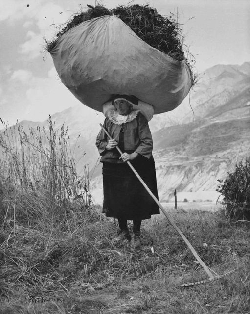 OwulaJB's tweet photo. An old woman hauling hay in Cogne, Italy, 1959 https://t.co/MQN9k0habT
