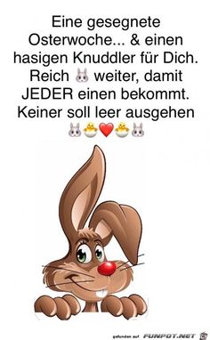 🌺𝒞ℴ𝓃𝓃𝓎 🌺🧜‍♂️ tweet media