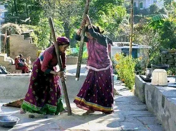 Shivraj54422427's tweet photo. जब सब शहरी गए तो खेती करेगा कौन
जब खेती नही करनी तो इन ओखलियों में कूटने के लिये होगा क्या
यह भी धीरे-धीरे समाप्ति की ओर तैयार😟😁 https://t.co/ExxaBVZUID