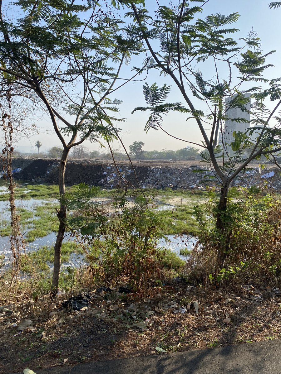 nprashant's tweet photo. अवघ्या १० दिवसांपूर्वी ट्विट करून ही पानथळ जागा सपाट होणार याची भीती व्यक्त केली होती आणि आता सपाटीकरणही झाल्याचे दिसत आहे. कदाचित आठवडाभरात उरलेली जागाही सपाट होईल. @NMMCCommr @CIDCO_Ltd @Navimumpolice @CMOMaharashtra @Dev_Fadnavis https://t.co/noDyQbjJj5