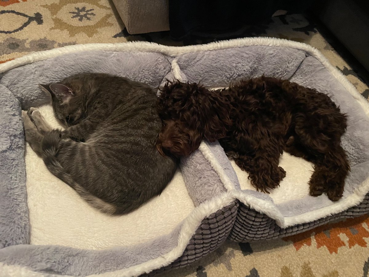 It warms my soul when they get along so well.