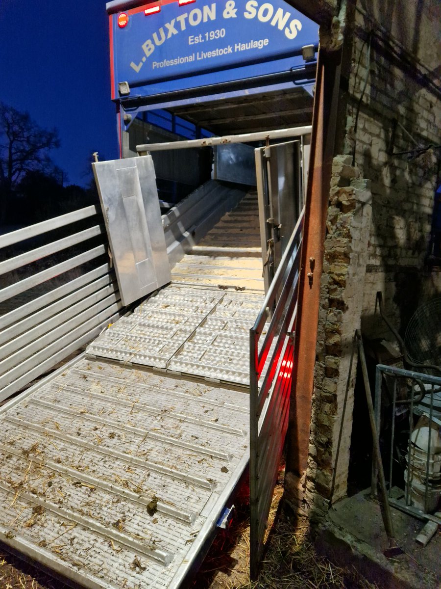 FarmersOfTheUK's tweet image. Early start loading 180 fat lambs ready for supermarket