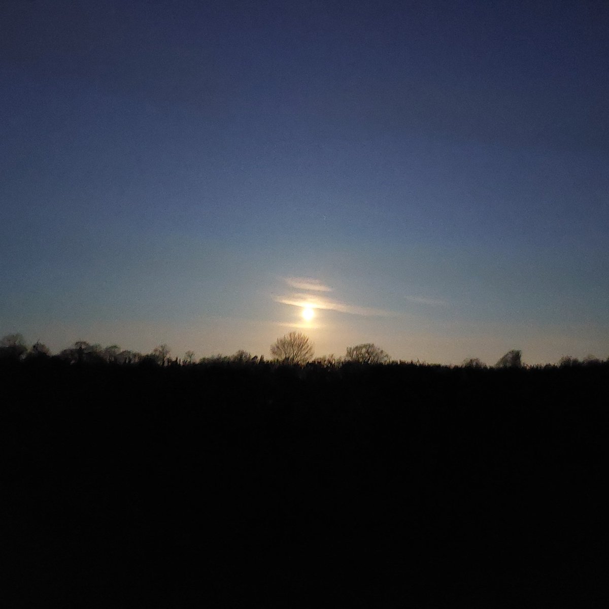 FloatMyBoat__'s tweet photo. Beautiful moon set this morning!
#moonset #settingmoon #narrowboatlife #floatmyboat https://t.co/qjbWCN8mvk