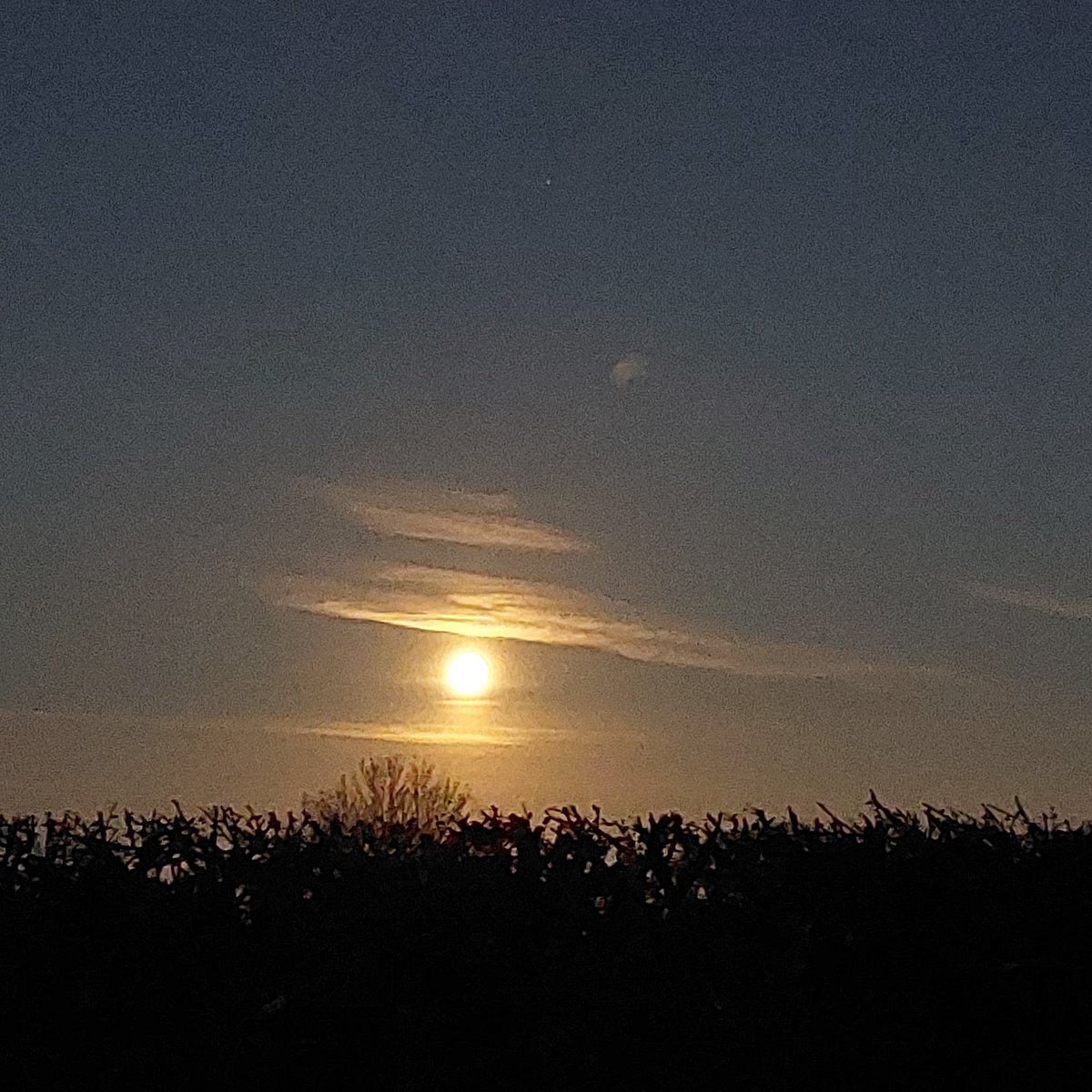 FloatMyBoat__'s tweet photo. Beautiful moon set this morning!
#moonset #settingmoon #narrowboatlife #floatmyboat https://t.co/qjbWCN8mvk