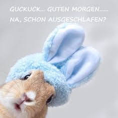 🌺𝒞ℴ𝓃𝓃𝓎 🌺🧜‍♂️ tweet media