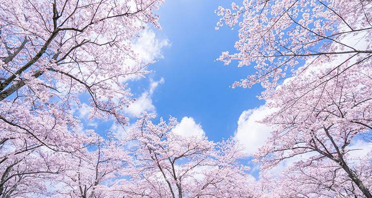 株式会社EverGreen 奈良営業所 tweet media