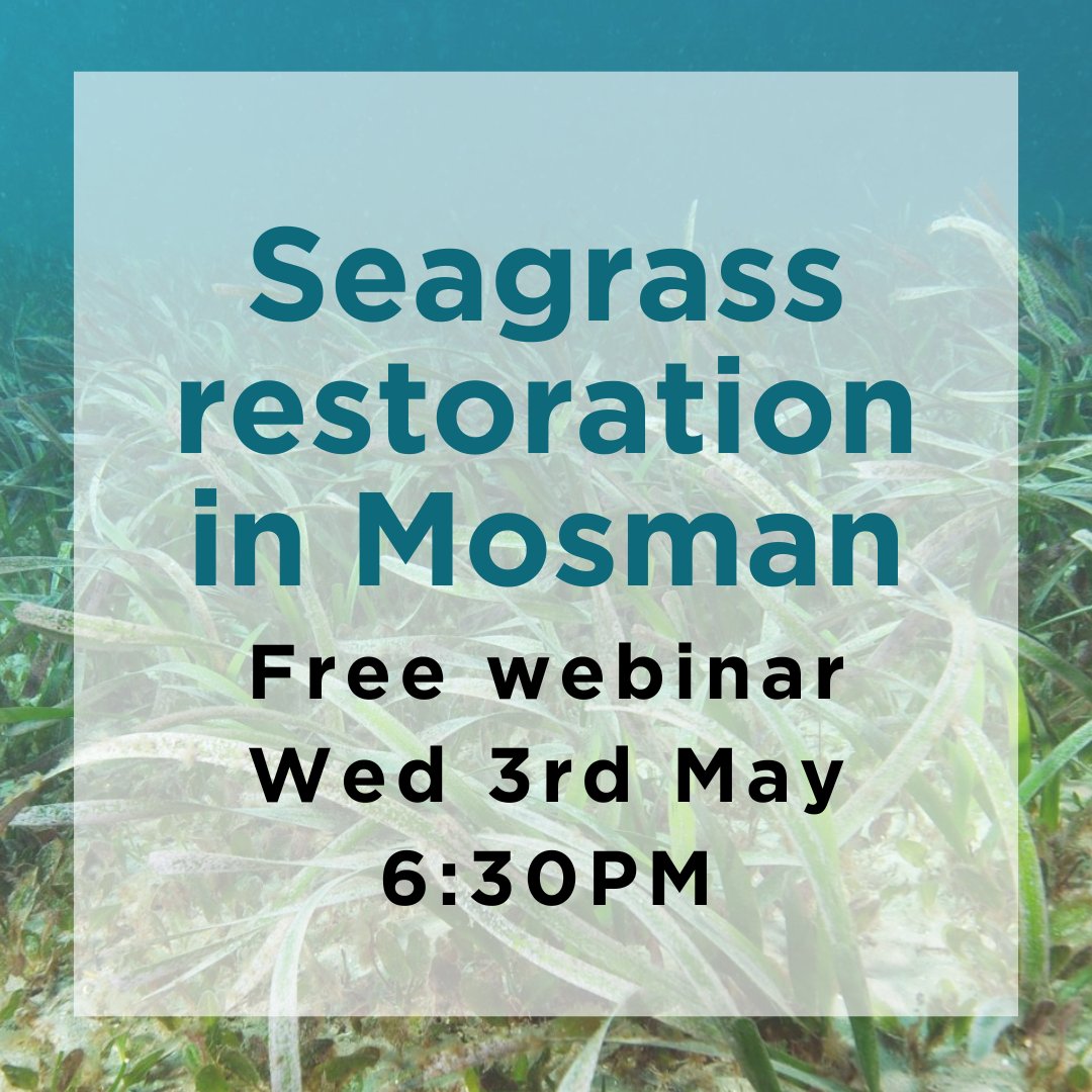 Join our free webinar about the first Posidonia restoration project in Sydney Harbour, happening in collaboration with Mosman Council. Registrations essential: events.mosman.nsw.gov.au/.../seagrass-r…...