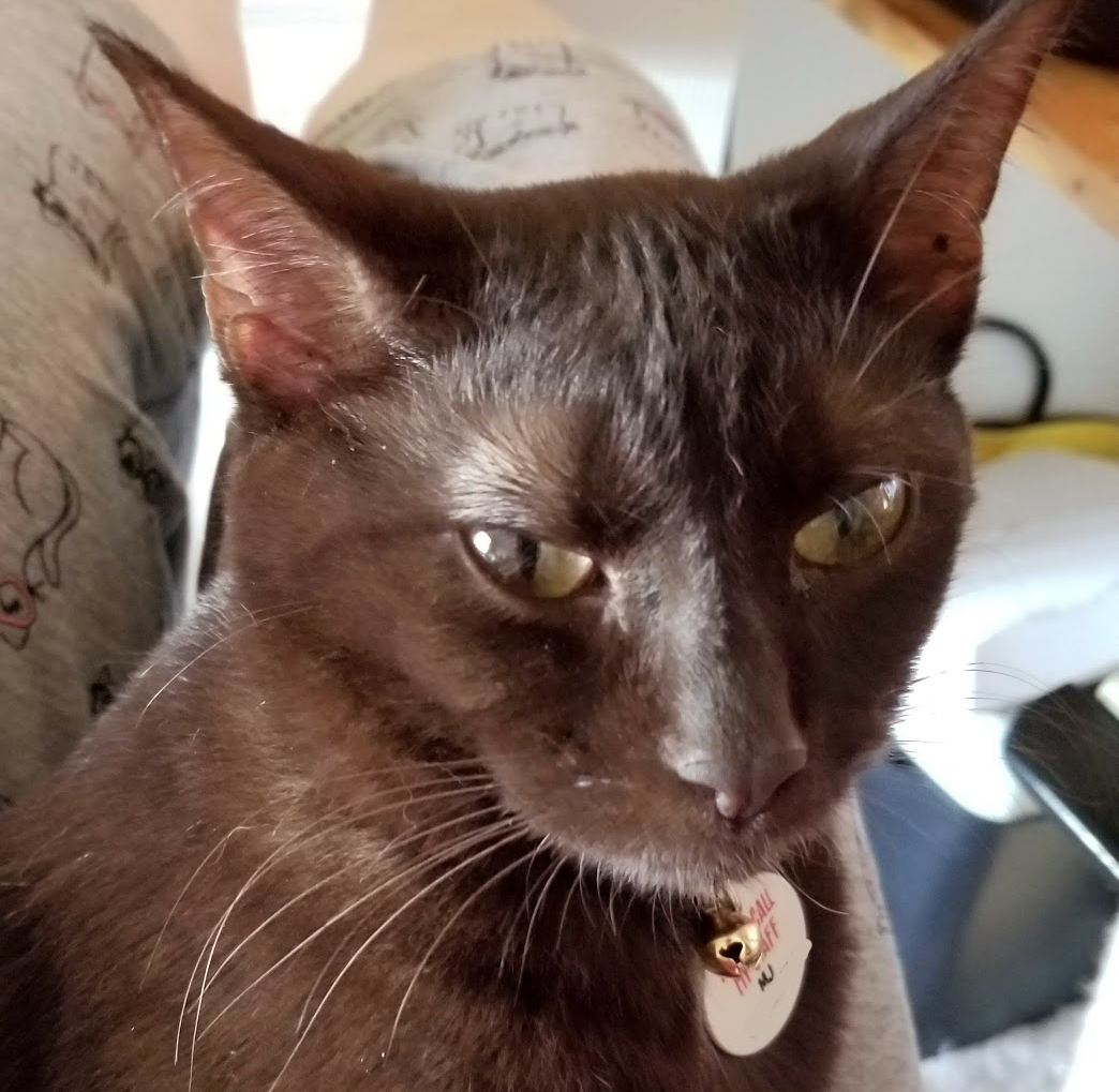 Becky Jones tweet media