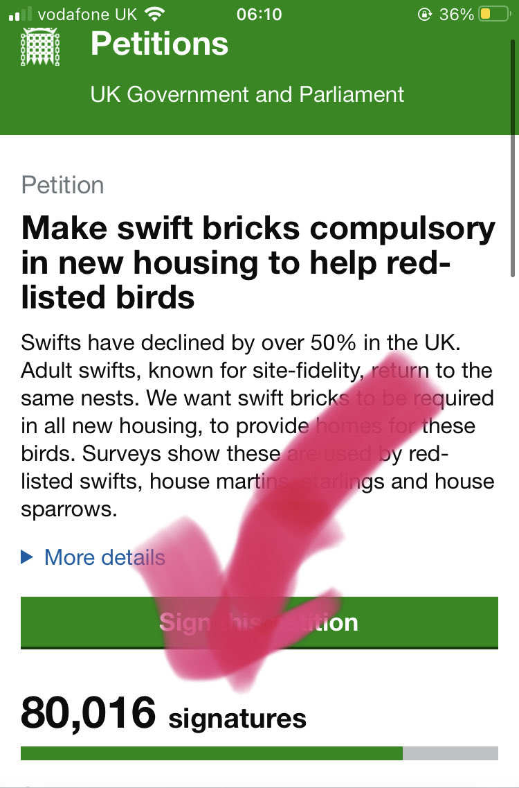 🤩COME ON! (📣Cheering like I’m watching a race. Because it is a race!) 💥we’ve got 26 days to get to 100k for the swifts. 📣Keep spreading the word so new people can sign #TheFeatherSpeech petition.parliament.uk/petitions/6267… 📣🪶