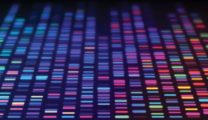EPIGENETICA47's tweet photo. “La creación de mapas epigenómicos de cada tejido es vital para el futuro de la medicina personalizada, ya que algún día puede permitir a los médicos determinar la salud de una persona o predecir la reacción de un paciente a un fármaco”. @RodericGuigo https://t.co/5ePCSstQVL