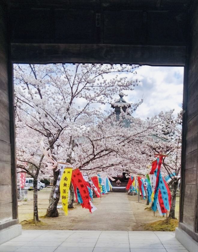 itti_pu's tweet photo. 伊達市保原町 薬師堂 
4月8日(土)10時~
さくらまつり開催🥰

年に1度の護摩木お焚き上げ祈願や、限定御朱印等仏閣好きにはたまらない❤️

護摩木は当日11時まで受付。1本500円
御朱印お布施料300円

1年の願いを込めて護摩祈祷はいかがですか🤗

 #保原町  #薬師堂  #護摩祈祷  #御朱印  #仏閣  #伊達市 https://t.co/KmE9wOZKuW