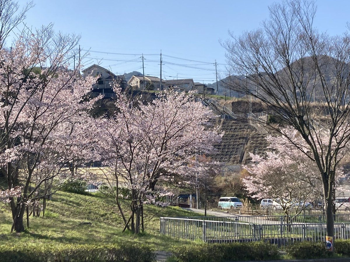 tripstar0522's tweet photo. 今日も4.5kmの地元通勤 #朝ラン 。
今日はタイツを履かずにランニング用着圧ハイソックスで走りました。
だいぶ暖かくなりましたが、朝晩はまだ少し肌寒いですけど😅

コース
神鉄六甲駅→大池駅→真星病院→花山駅入口→有馬街道旧道→谷上駅

👟→ #HOKA   #CLIFTON6
🧦→ #TABIO https://t.co/r2A3eKNJAx