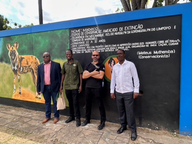 WCSMozambique's tweet photo. Maputo Biodiversity Wall inaugurated by the Minister of Land and Environment
The project is an initiative of the company Reciclagem e Serviços, which sourced funding support from organisations including #theWCS.
https://t.co/BZQdkPdOmC https://t.co/YUQiz4HDg8