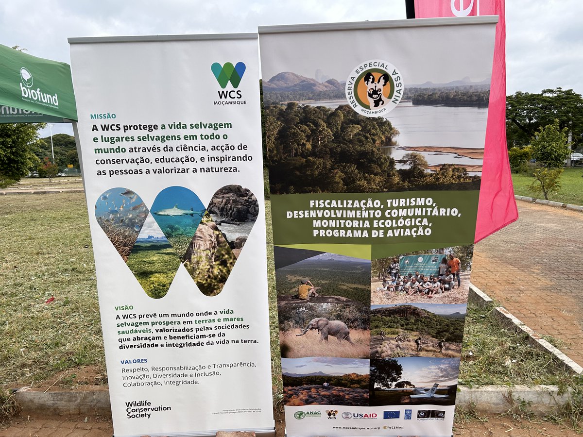 WCSMozambique's tweet photo. Maputo Biodiversity Wall inaugurated by the Minister of Land and Environment
The project is an initiative of the company Reciclagem e Serviços, which sourced funding support from organisations including #theWCS.
https://t.co/BZQdkPdOmC https://t.co/YUQiz4HDg8