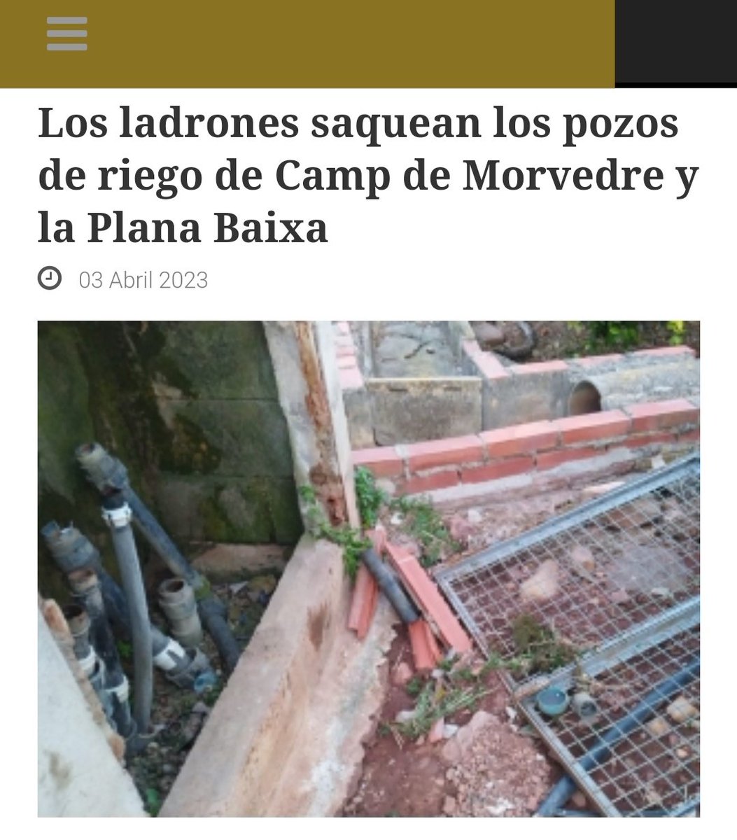 A la situación de los agricultores, se suma otra plaga mas, que se eliminaría aplicando las leyes con contundencia, según informaron desde <a href="/ava_asaja/">Associació Valenciana d'Agricultors</a>

EXIGIMOS a <a href="/GVAjusticia/">GVA Justicia, Transparencia y Participación</a> actúe con celeridad.

#OtraFormaDeHacerPolitica

castelloninformacion.com/ava-asaja-aler…

espanasuma.info