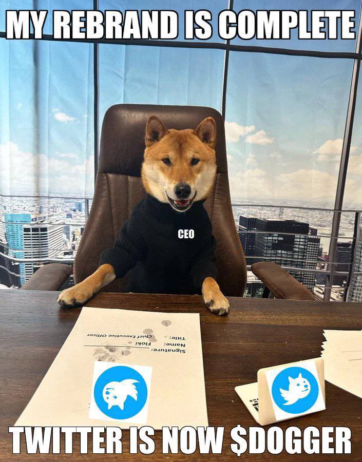 @Thorshammergems Gm fam I hope you know that WE ARE TWITTER NOW <a href="/doggereth/">$DOGGER</a> don’t fade this gem bro tax is 0/0 LP is burnt ca renounced and community is based and full of chads 💯 t.me/TwitterDogeERC…