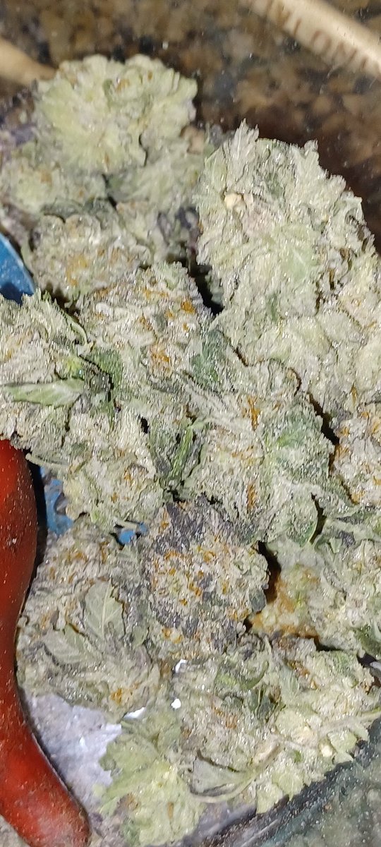 Bought $450oz today from profits.   Thank you <a href="/elonmusk/">Elon Musk</a>
#dogecoin #profits #thc #cannabis #ElonMusk