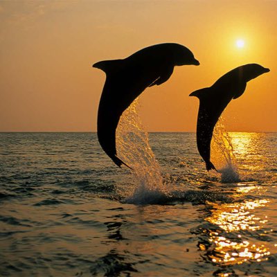 sarahrandolphin's tweet photo. #NewProfilePic https://t.co/QrlYiyPZcS