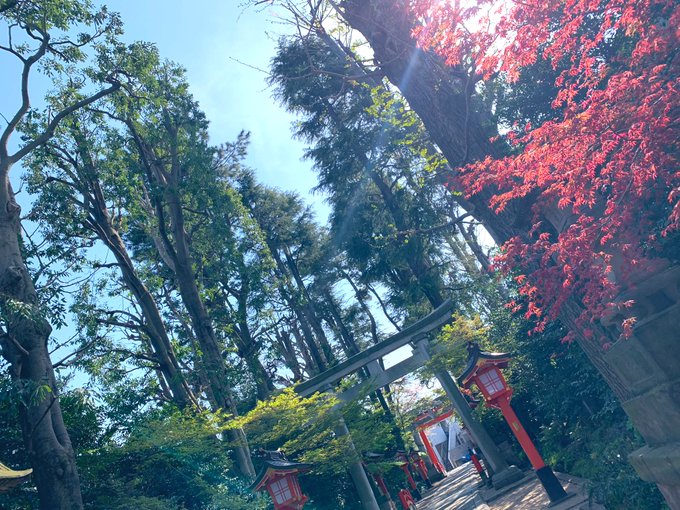 「神社 鳥居」のTwitter画像/イラスト(新着)｜3ページ目