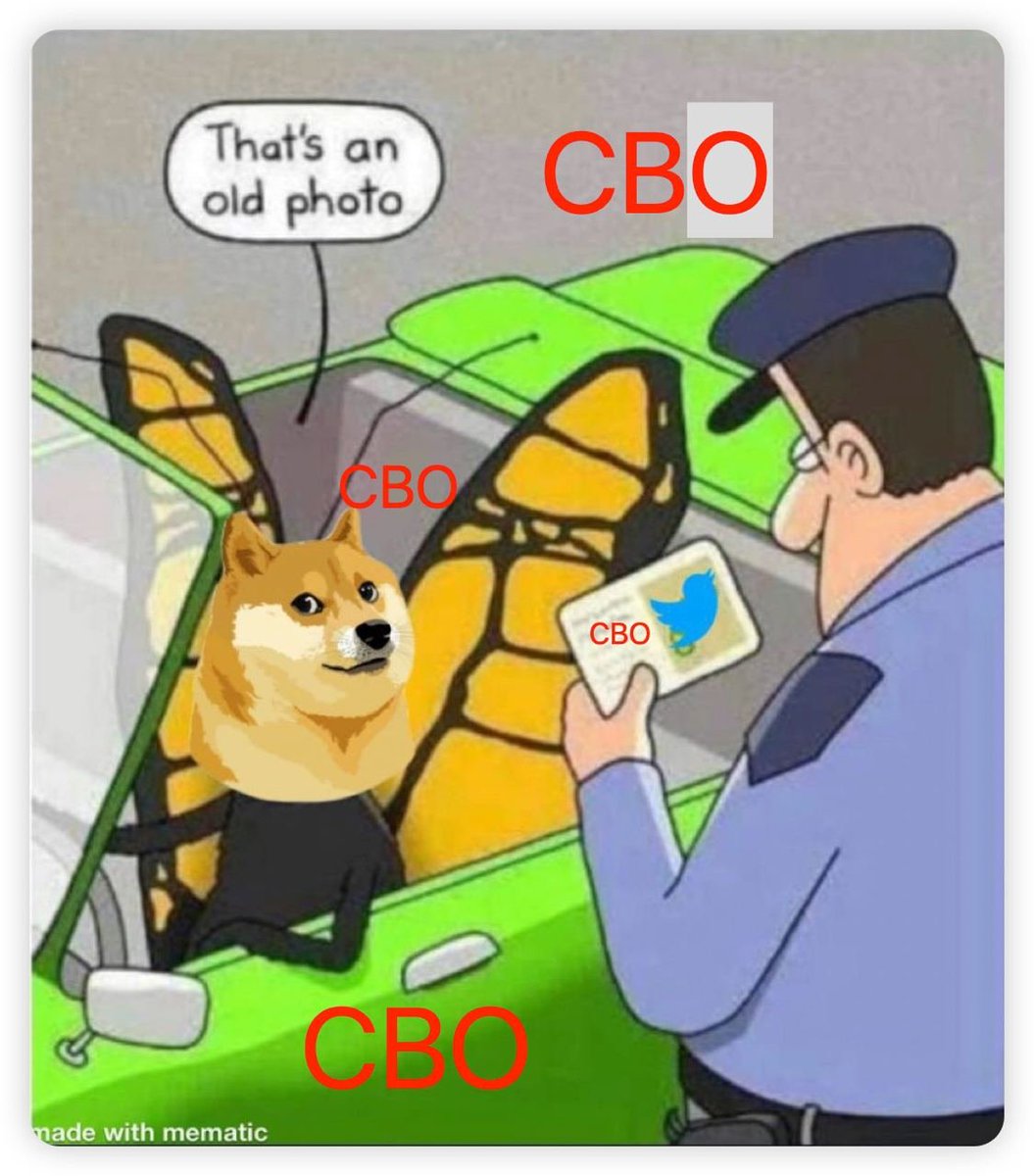 crybeto's tweet photo. Twitter Logo Growth Process：Blue bird-Doge-Crybeto coin😂😂

#Twitter #Dogecoin #Crybeto https://t.co/wx8QMOPWaI