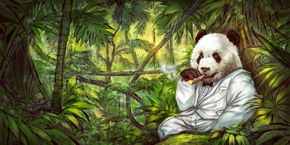 #giant #panda #panda #illustration Like and share if you think it`s fantastic! buybybye.eu