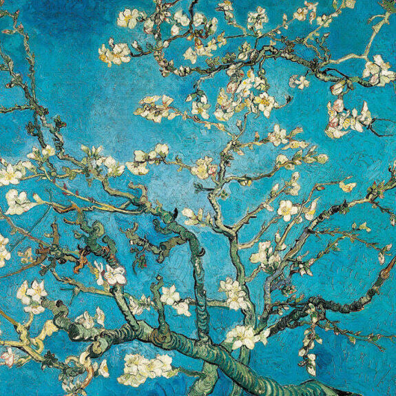 lucanarcho's tweet photo. @hasanthehun Thats my favourite Van Gogh painting https://t.co/On2kvNJKao