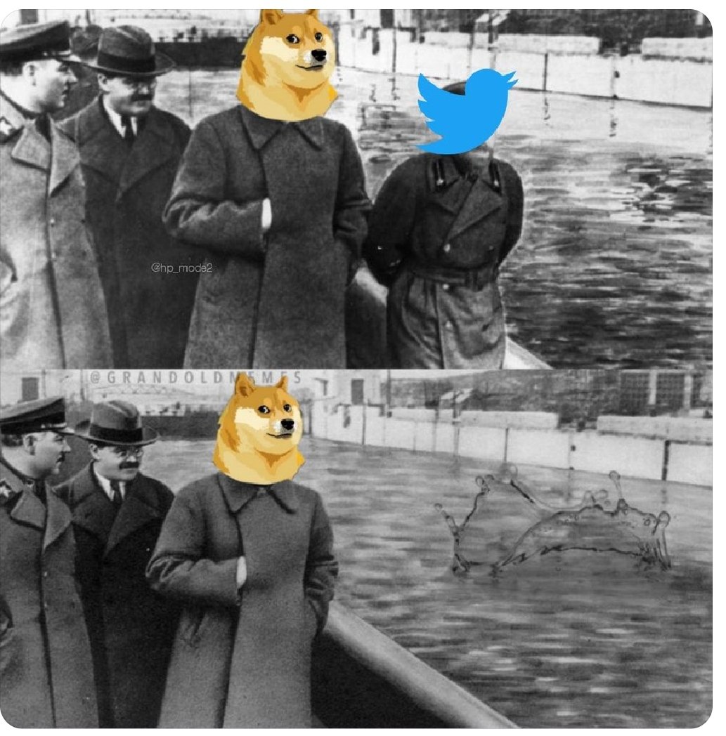 Ds_hotstuff_'s tweet photo. Twitter logo 🐕🐶 https://t.co/WbM9y9u0qy