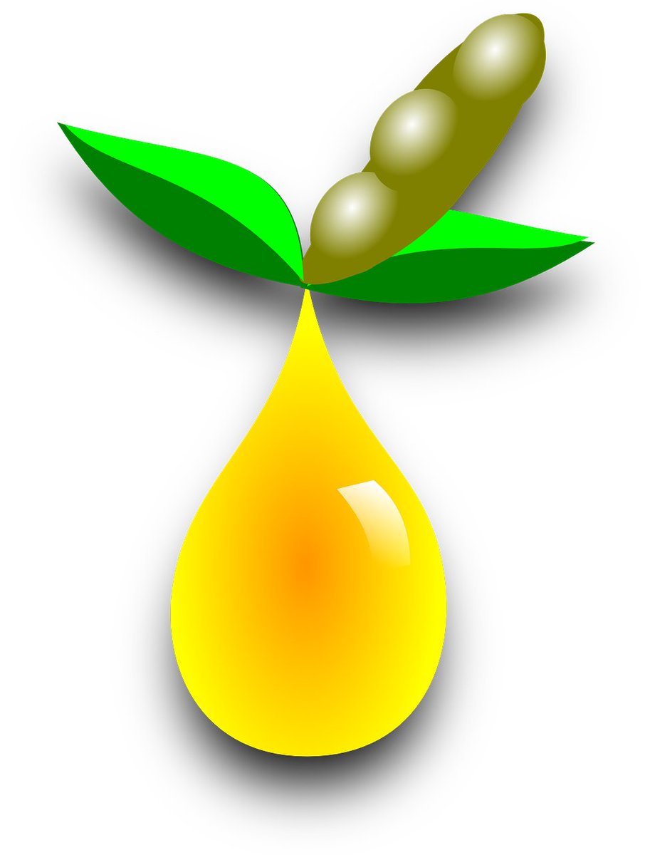 carnitarierin's tweet image. Für die Produktion von 60 Mio. Tonnen #Sojaöl fallen jährlich 240 Mio. Tonnen #Sojaschrot an. Wie gut, dass man diese Reste als #Tierfutter los wird!