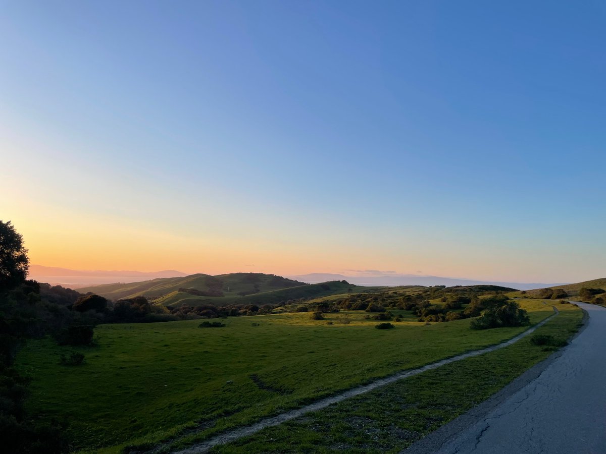 sonalimali6's tweet photo. happy east-bay-is-green season https://t.co/mxZUk81Ovr