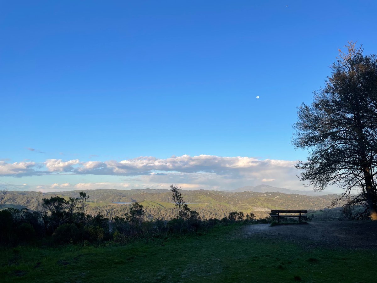 sonalimali6's tweet photo. happy east-bay-is-green season https://t.co/mxZUk81Ovr