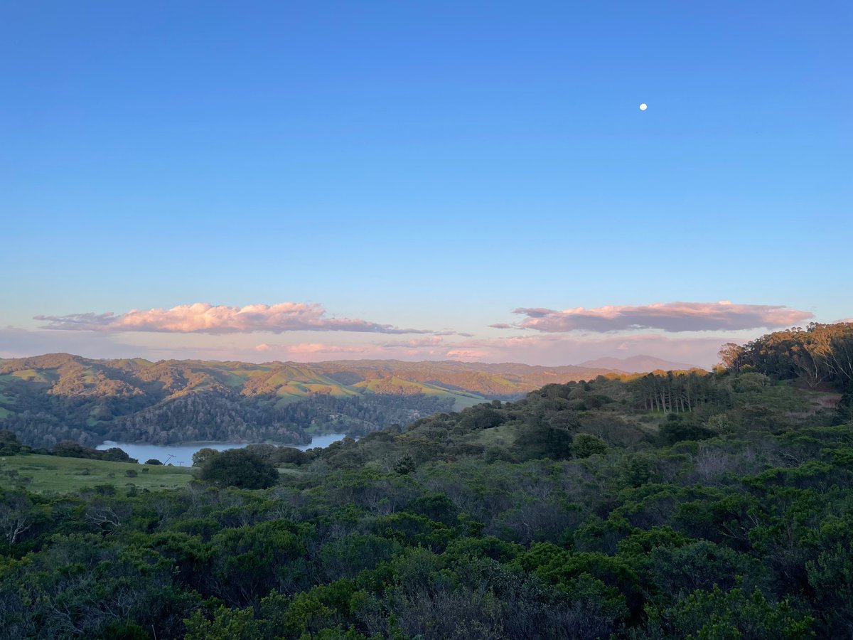 sonalimali6's tweet photo. happy east-bay-is-green season https://t.co/mxZUk81Ovr